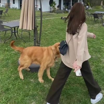 天桥上的魔术师 在线观看