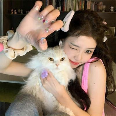住在海边的猫头鹰 在线观看